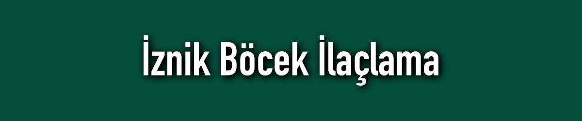 İznik Böcek İlaçlama